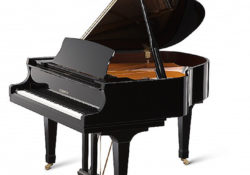 Piano Kawai RX-2 sử dụng bộ máy Millennium III là sự kết hơp của nhựa ABS với sợi carbon để cải thiện hơn nữa trải nghiệm chơi của một người