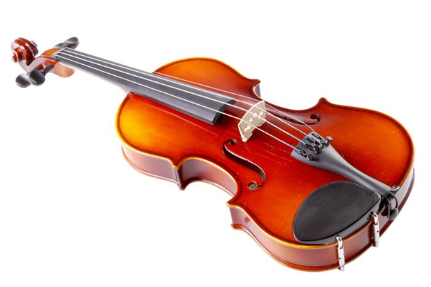 Tiêu chí quan trọng nhất khi chọn mua đàn violin 1