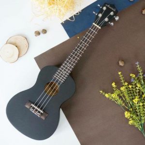 Top những cây đàn Ukulele Concert phù hợp với người Việt 1