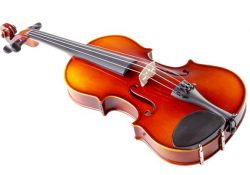 Tiêu chí quan trọng nhất khi chọn mua đàn violin 1
